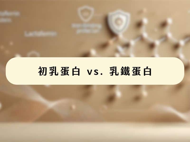初乳蛋白和乳鐵蛋白的比較