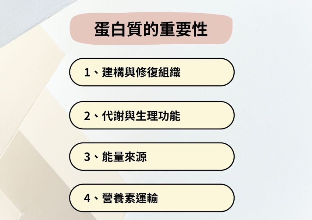 蛋白質的四大重要性