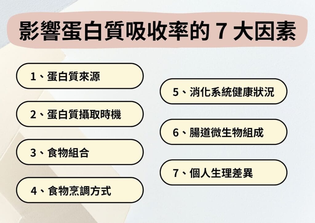 影響蛋白質吸收率的 7 大因素