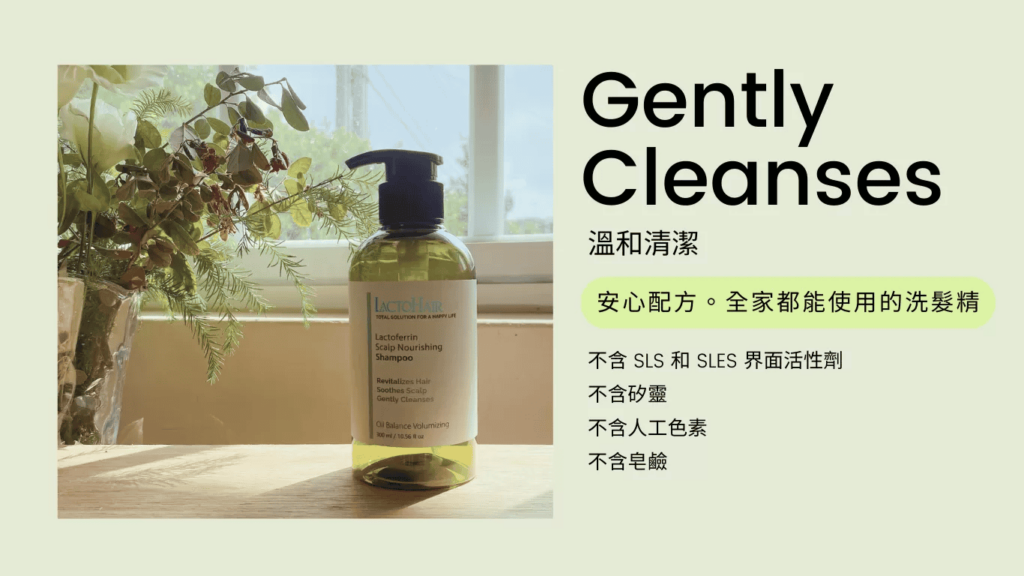 寶晶醫療的樂多髮:乳鐵蛋白頭皮養護洗髮精