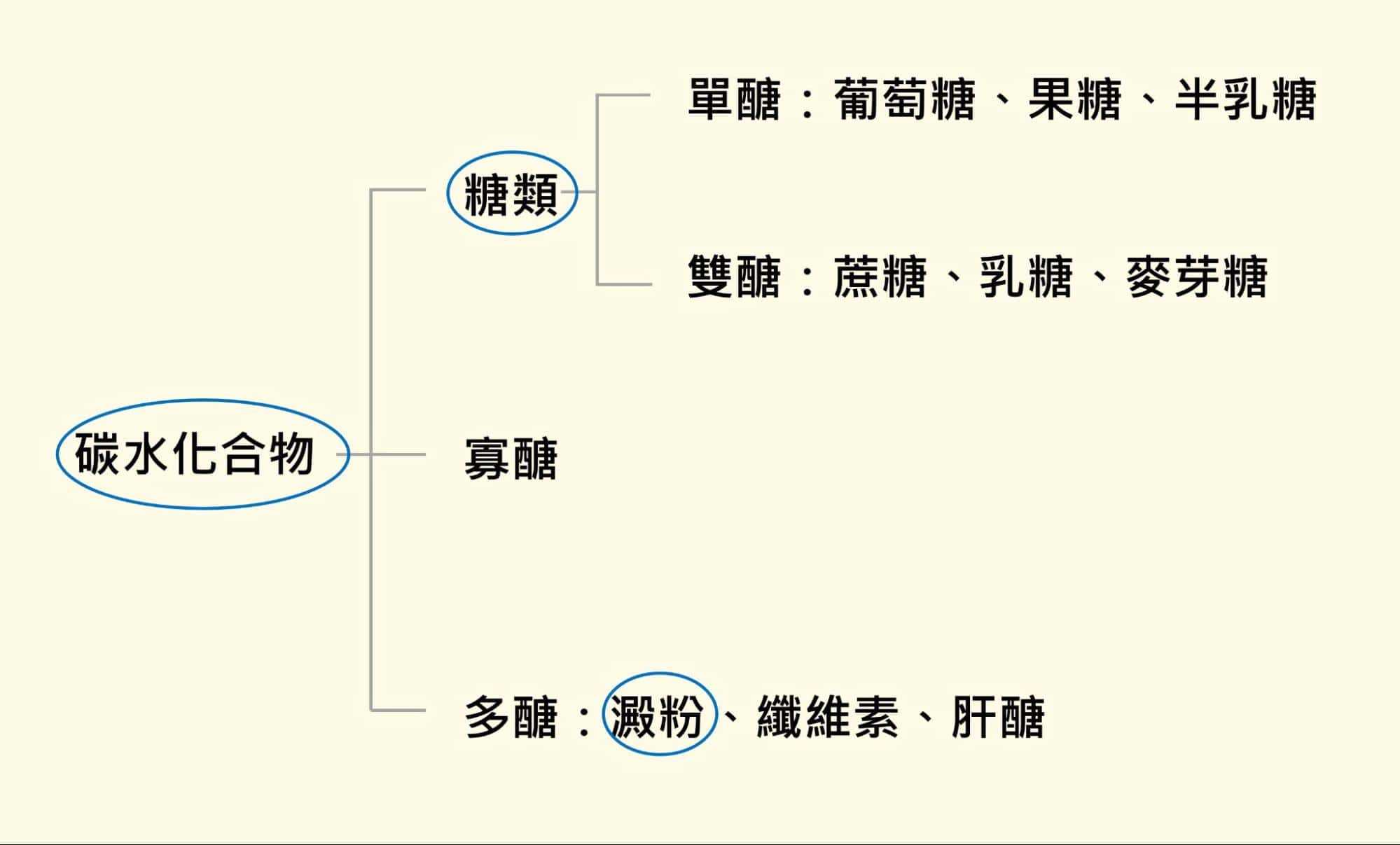 碳水化合物、糖類、澱粉的關係